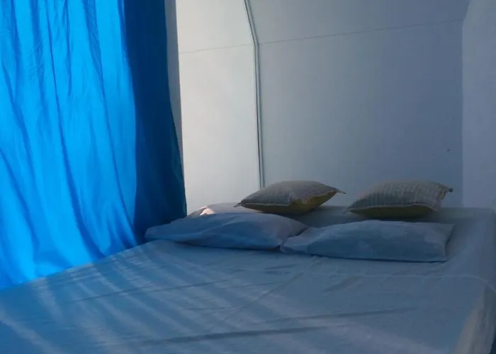 El Paradiso 3* 알코이